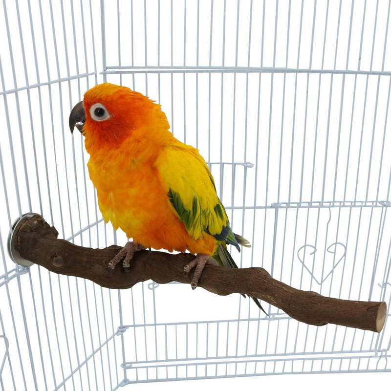 Wood Bird Stand Perch, Natural Wild Grape Stick Paw Grinding Standing Climbing Toy Cage Accessories for Small and Medium Parrots, Parakeets, Cockatiels, Lovebirds, Sun Conures, Caique, African Grey