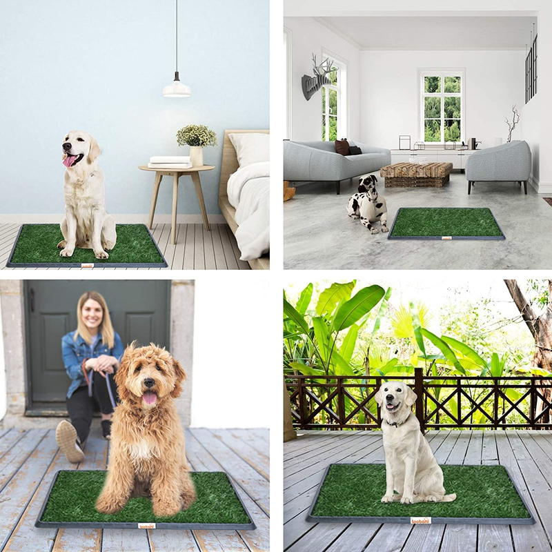 LOOBANI Indoor Outdoor Dog Potty Systems, Reusable and Portable Trainer Tray for Puppy Training, with 2 Packs Replacement Grass Mat. Animals & Pet Supplies > Pet Supplies > Dog Supplies > Dog Diaper Pads & Liners LOOBANI   