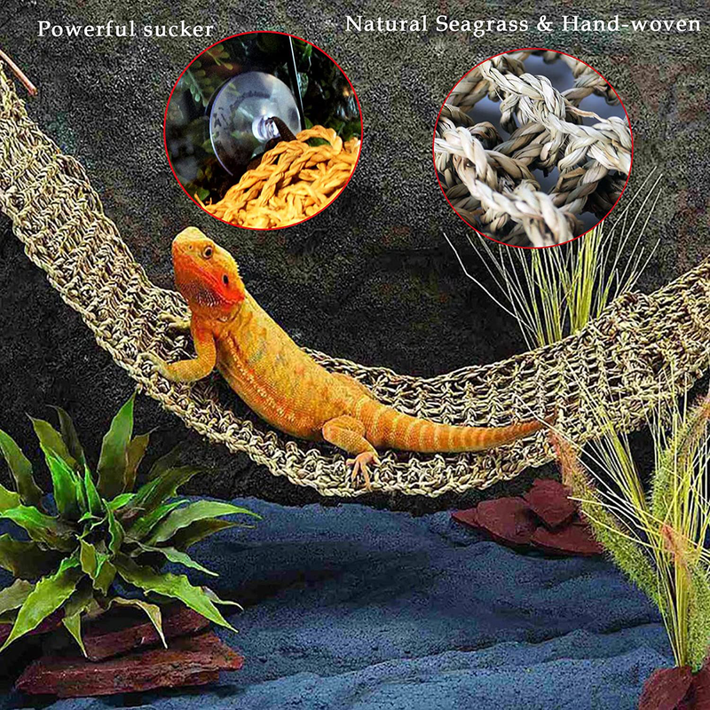kathson Bearded Dragon Hammock Reptile Hideout Wooden Bridge Jungle Climber Vines Flexible Reptile Leaves with Suction Cups Reptile Habitat Decor for Chameleon, Lizards, Gecko, Snakes Climbing Hiding Animals & Pet Supplies > Pet Supplies > Reptile & Amphibian Supplies kathson   