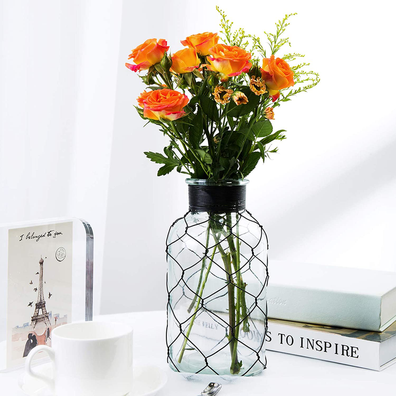 Diamond Star Decorative Glass Vase Chicken Wire Wrap Flower Vase for Home Decor (4" X 8") Home & Garden > Decor > Vases DIAMOND STAR   