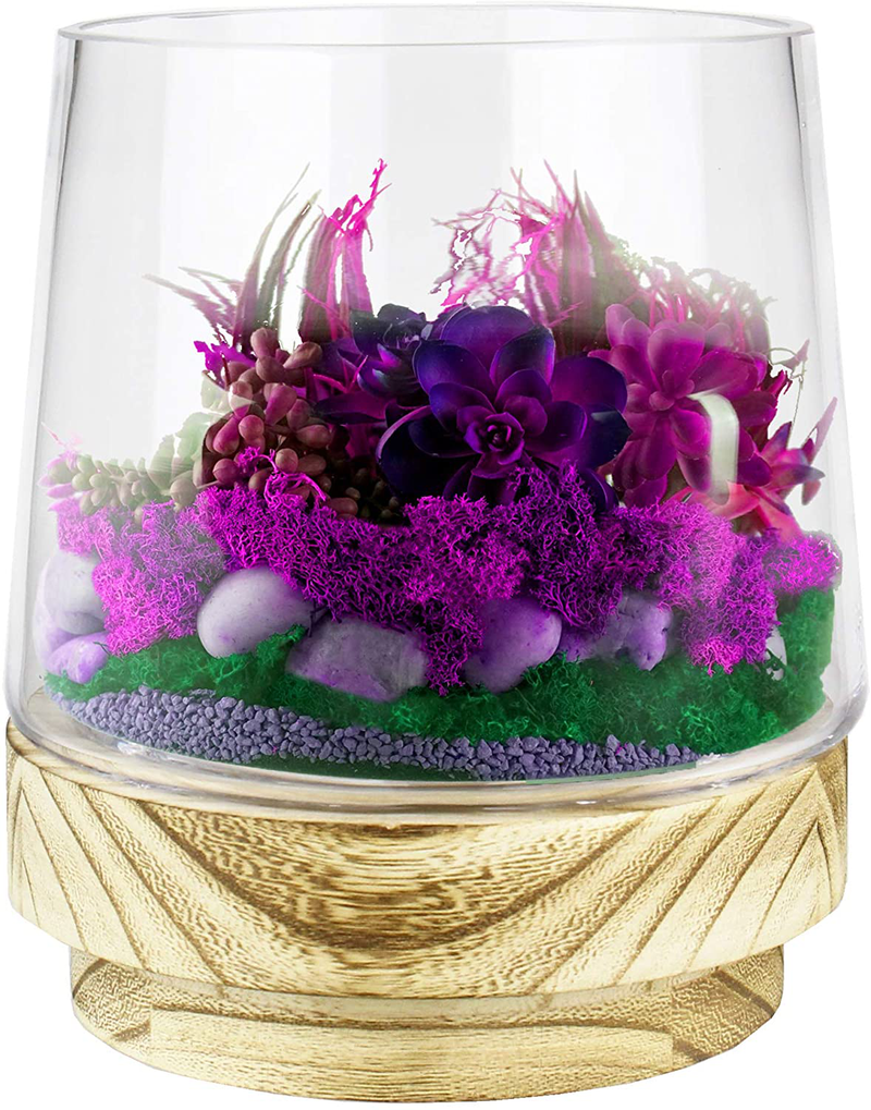 CYS EXCEL Glass Terrarium Container Pot (H:7" W:6") | Multiple Size Choices Planter Cups with Wood Base | Plant Terrarium Bowl Vase | Glass Candle Holder