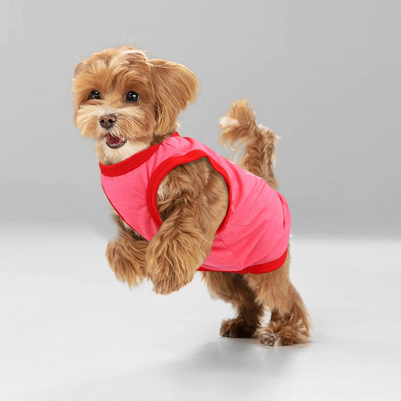 RUODON 3 Printed Puppy Shirts Dog Shirt Pet T-Shirt and Dog Vest Soft Puppy Dog Clothes Pet Outfits Cute Pet Sweatshirt for Small Dogs and Cats Animals & Pet Supplies > Pet Supplies > Dog Supplies > Dog Apparel RUODON   
