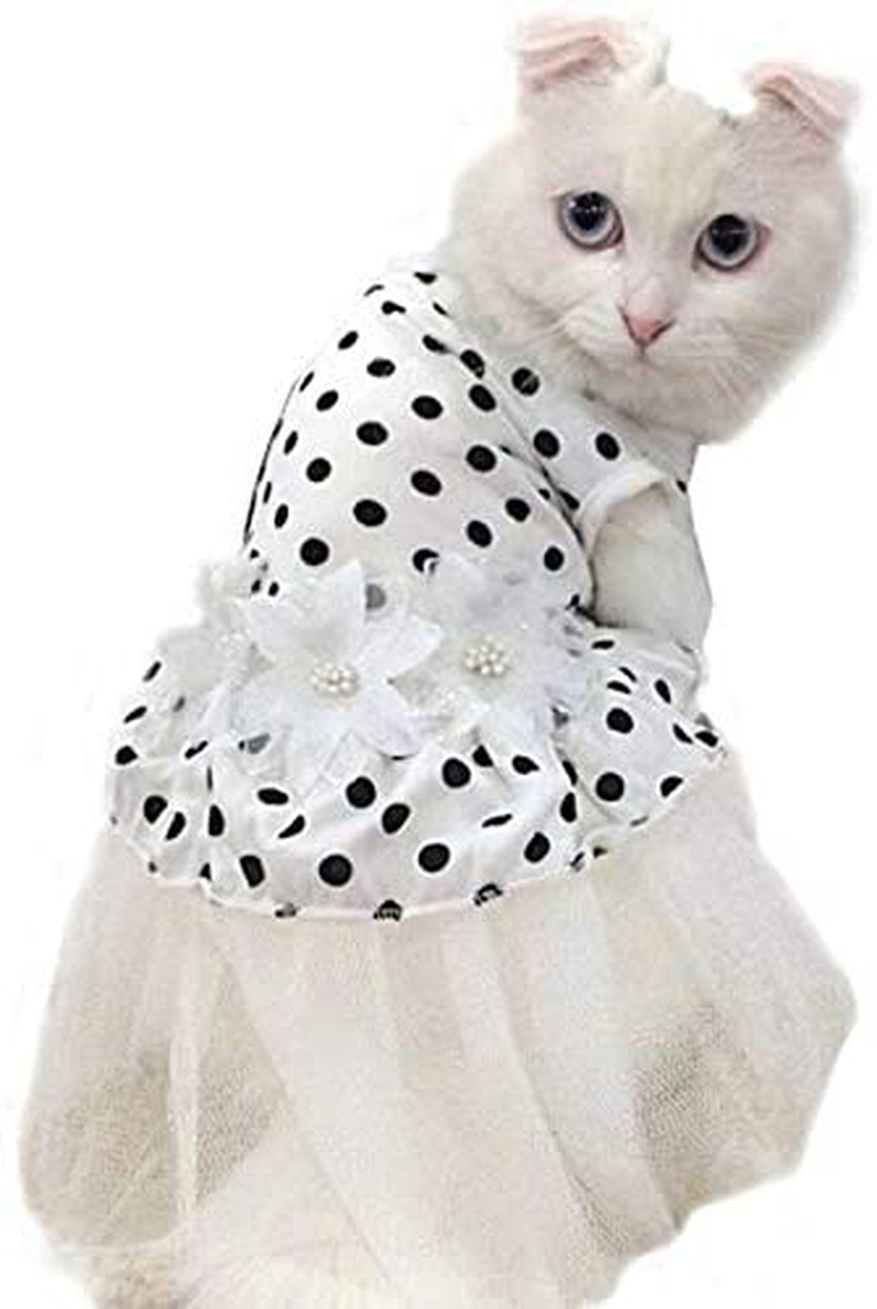 I'Pet Princess Floral Cat Party Bridal Wedding Dress Small Dog Flower Tutu Ball Gown Puppy Dot Skirt Doggy Photo Apparel Stretchy Clothes Mesh Costume for Spring Summer Wear