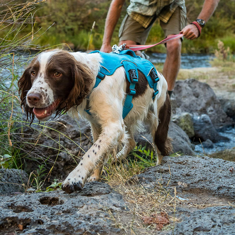 RUFFWEAR, Web Master, Multi-Use Support Dog Harness, Hiking and Trail Running, Service and Working, Everyday Wear Animals & Pet Supplies > Pet Supplies > Dog Supplies RUFFWEAR   