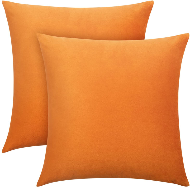 Moloudan Velvet Throw Pillow Covers,Decorative Square Pillowcase,Soft Solid Cushion Covers for Sofa Couch Living Room Bedroom(Light Blue,18*18 Inches,Pack of 2) Home & Garden > Decor > Chair & Sofa Cushions Moloudan Burnt Orange 18*18 