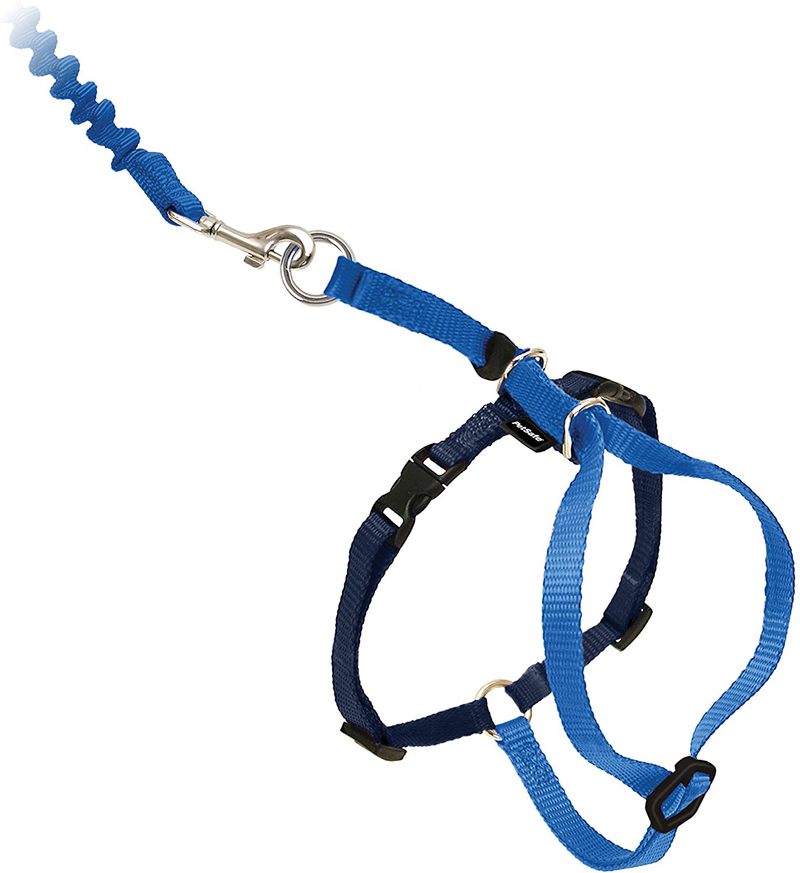 PetSafe Come With Me Kitty Harness and Bungee Leash, Harness for Cats Animals & Pet Supplies > Pet Supplies > Cat Supplies > Cat Apparel PetSafe ROYAL BLUE/NAVY Medium (Pack of 1) 