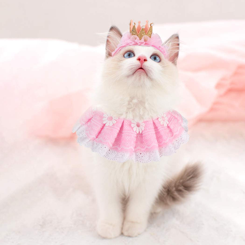Legendog Cat Clothes, Princess Cat Costumes for Cats, Cute Lace Dog Bandanas and Cat Crown Accessories for Cats Small Dogs, Pink Outfit for Cat Birthday Party Supplies Animals & Pet Supplies > Pet Supplies > Cat Supplies > Cat Apparel Legendog   
