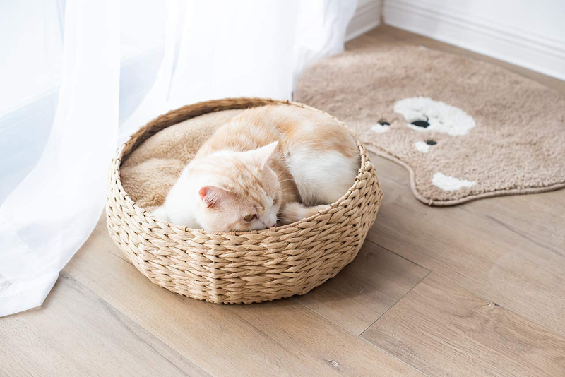 Petpals Hand Made Paper Rope round Bed for Cat/Dog/Pet Sleep with Pillow, Natural Animals & Pet Supplies > Pet Supplies > Cat Supplies > Cat Beds PetPals   