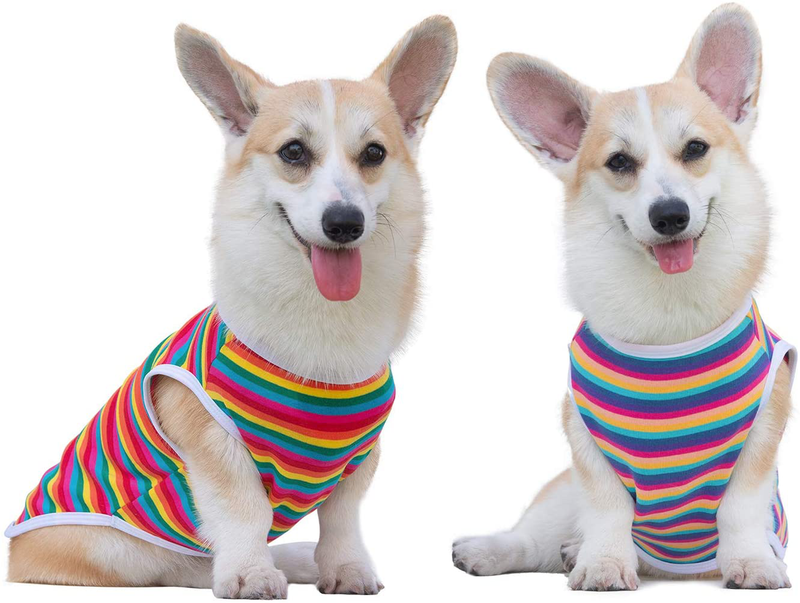 Cutebone Dog Shirts Striped 2-Pack Soft Cotton Pet Clothes Breathable Summer Vest for Small Puppy and Cat Apparel Stretchy, Yellow&Purple Animals & Pet Supplies > Pet Supplies > Cat Supplies > Cat Apparel CuteBone Striped 2(Pack of 2) XL(Chest Girth20’’-20.5’’ Back Length16’’-16.5’’) 