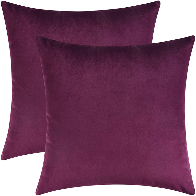 Mixhug Decorative Throw Pillow Covers, Velvet Cushion Covers, Solid Throw Pillow Cases for Couch and Bed Pillows, Burnt Orange, 20 x 20 Inches, Set of 2 Home & Garden > Decor > Chair & Sofa Cushions Mixhug Plum 24 x 24 Inches, 2 Pieces 