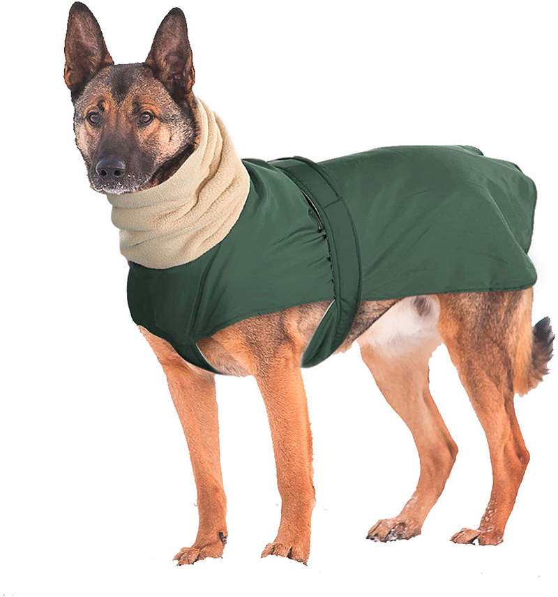 Didog Waterproof Dog Winter Jacket with Turtleneck Scarf,Pets Cold Weather Coats with Soft Warm Fleece Lining,Windproof Snowsuit Outdoor Apparel for Medium Large Dogs Animals & Pet Supplies > Pet Supplies > Dog Supplies > Dog Apparel Didog Green Chest:25-34" Back Length:27.5" 