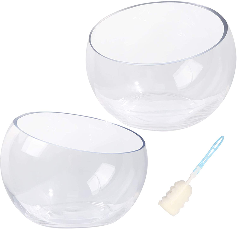 HWASHIN Set of 2 Clear Glass Vases Slant Cut Terrarium, 7” W x 5” H, Fish Bowl, Candy Dish, Succulent Flower Container with Sponge Brush, Decorative Center Piece for Home, Events or Weddings Animals & Pet Supplies > Pet Supplies > Reptile & Amphibian Supplies > Reptile & Amphibian Habitats HWASHIN Default Title  