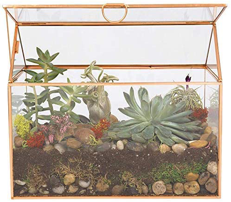 Deco Glass Geometric DIY Terrarium (10”x6”x8”), Succulent & Air Plant- Large House Shaped for Indoor Gardening Decor- Create Your own Flower, Fern, Moss Centerpiece- Amazing Holiday and Wedding Gift Animals & Pet Supplies > Pet Supplies > Reptile & Amphibian Supplies > Reptile & Amphibian Habitats D'Eco   