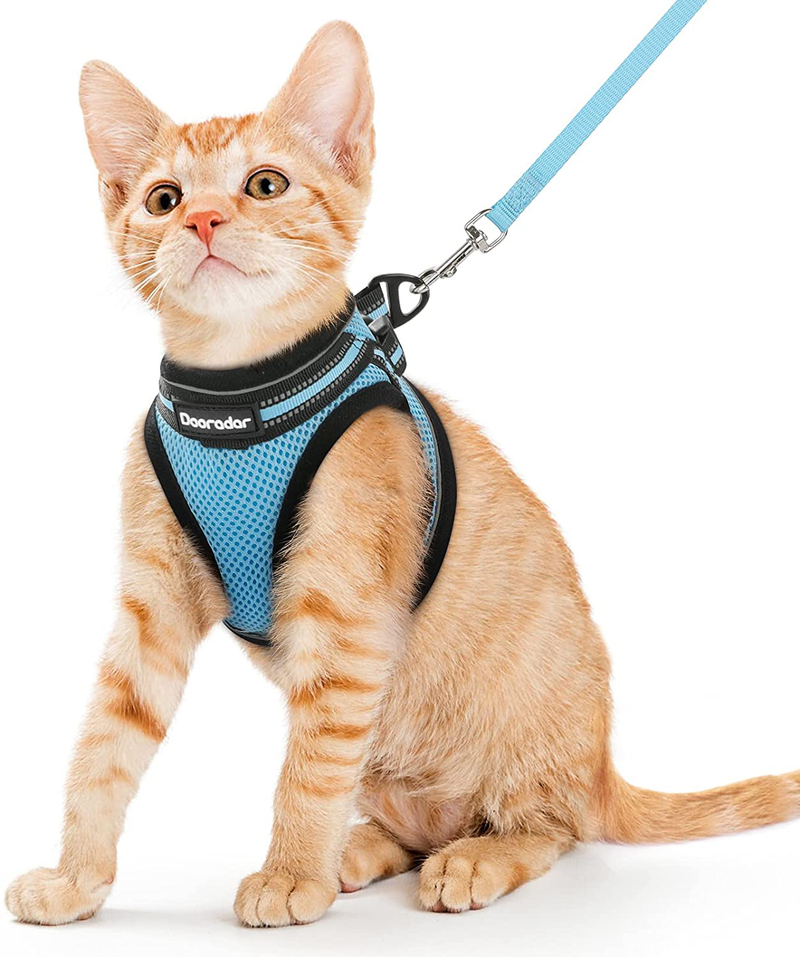 Dooradar Cat Leash and Harness Set Escape Proof Safe Cats Step-in Vest Harness for Walking Outdoor Adjustable Kitten Harness with Reflective Strip Breathable Mesh for Cat, Multiple Color Animals & Pet Supplies > Pet Supplies > Cat Supplies > Cat Apparel Dooradar Light Blue Small (Pack of 1) 