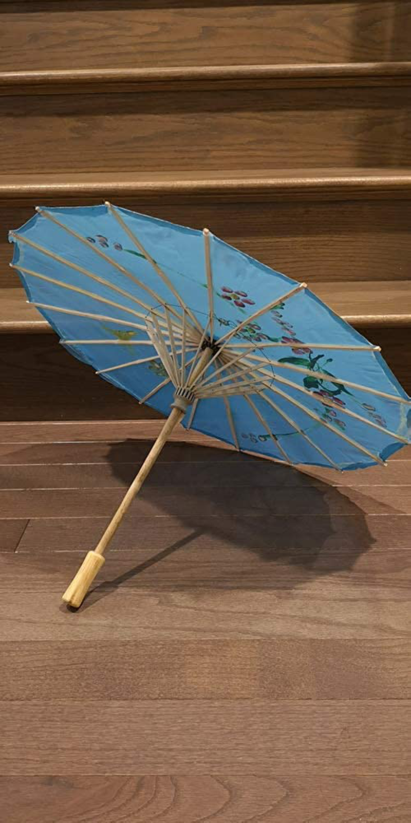 TJ GLOBAL 22" Kid's Chinese Japanese Umbrella Parasol for Wedding Parties, Photography, Costumes, Cosplay, Decoration (Light Blue) Home & Garden > Lawn & Garden > Outdoor Living > Outdoor Umbrella & Sunshade Accessories TJ GLOBAL   