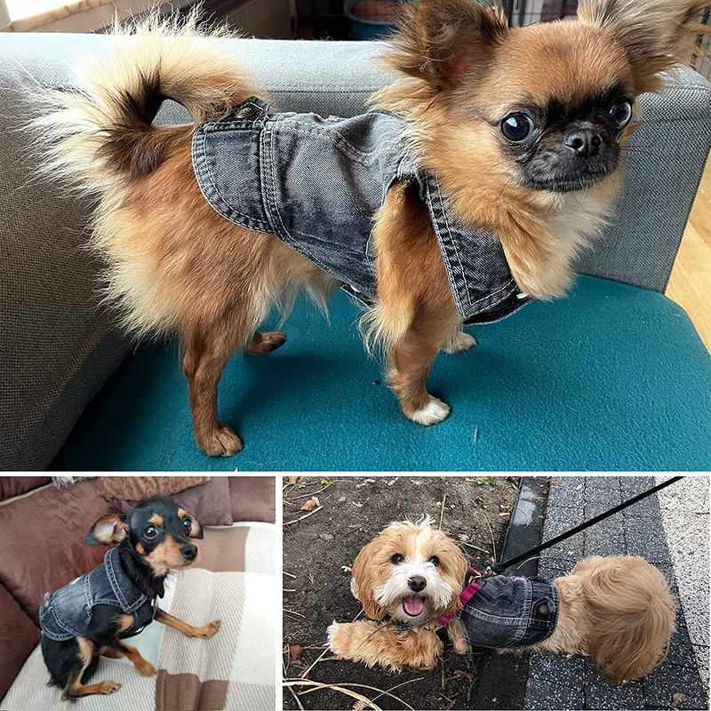 TENGZHI Stylish Dog Jean Jacket Denim Pet Clothes Costume Shirts Cute Puppy Winter Coat Cat Apparel Dog Outfits for Small Medium Dogs Boy Girl