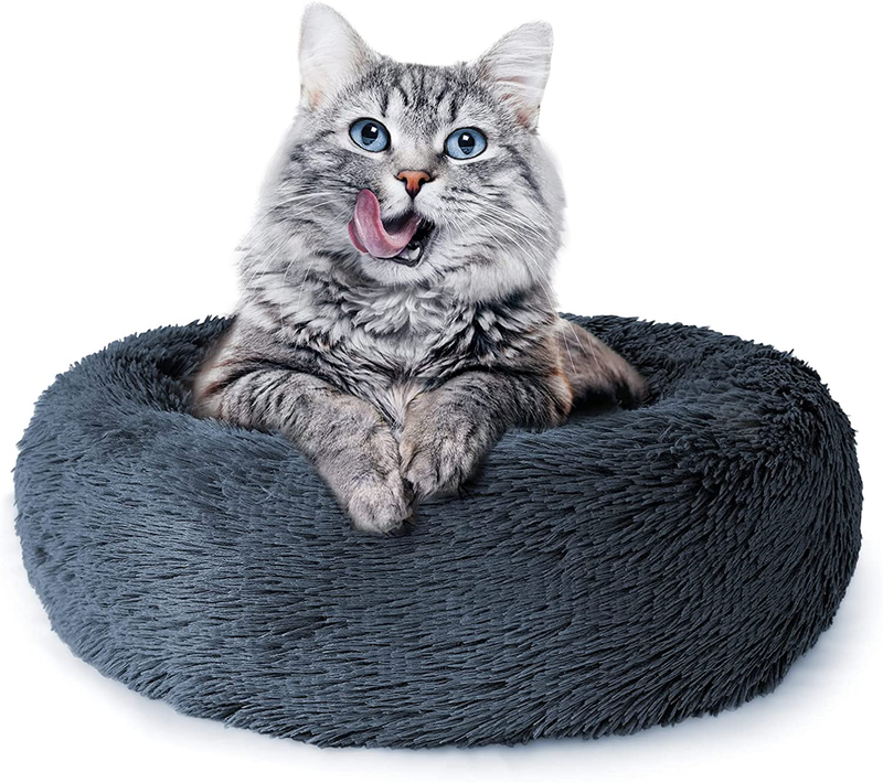 Fluffy Dog Bed for Small Dogs and Cats,Original Calming Donut Dog Bed,Washable Cozy Dog Bed with Extra Soft Anti-Slip Bottom, Self Warming Styles&Multiple Size 24＂ Animals & Pet Supplies > Pet Supplies > Dog Supplies > Dog Beds Queeplo Dark Gray  