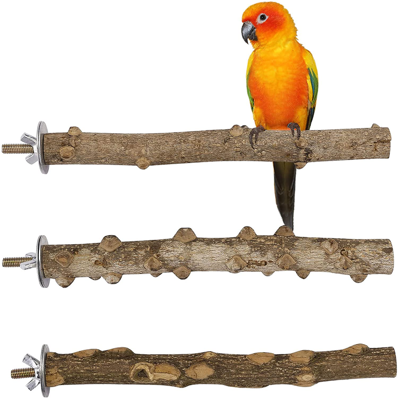 Mogoko Natural Wood Bird Perch Stand, Hanging Multi Branch Perch for Parrots, Parakeets Cockatiels, Conures, Macaws, Love Birds, Finches