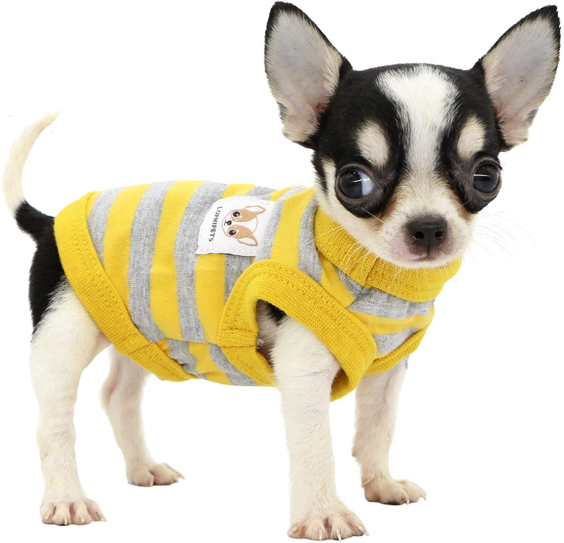 LOPHIPETS 100% Cotton Striped Dog Shirts for Puppy Small Dogs Chihuahua Animals & Pet Supplies > Pet Supplies > Dog Supplies > Dog Apparel LOPHIPETS Yellow and Gray Strips XX-Small (Pack of 1) 