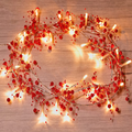 Mosoan 10FT 30 Leds Valentines Day Decor String Lights, 8 Light Modes Heart Lights Battery Operated, Valentines Day Decorations Lights for Bedroom Home Party Wedding Indoor Outdoor (Red Pink White) Home & Garden > Decor > Seasonal & Holiday Decorations Mosoan Red  