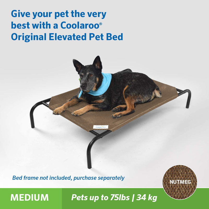 Coolaroo Replacement Cover, the Original Elevated Pet Bed by Coolaroo, Medium, Nutmeg Animals & Pet Supplies > Pet Supplies > Dog Supplies > Dog Beds Coolaroo   