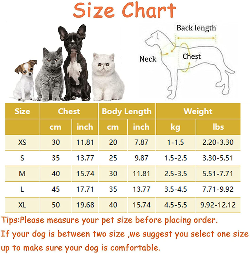 HRTTSY Funny Dog Shirts with Cute Cartoon Cross Body Bag for Small Dogs Cats Soft Breathable Fall Winter Warm Kitten Puppy Sweatshirt Clothes Pet T-Shirt Sweater Outfits Chihuahua Apparels