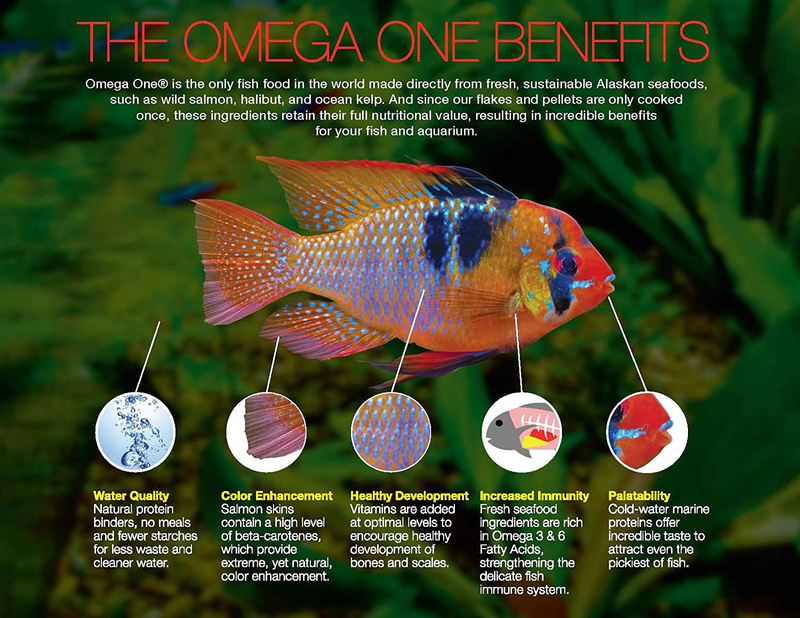 Omega One Super Color Sinking Cichlid Pellets, 4mm Large Pellets Animals & Pet Supplies > Pet Supplies > Fish Supplies > Fish Food Omega One   