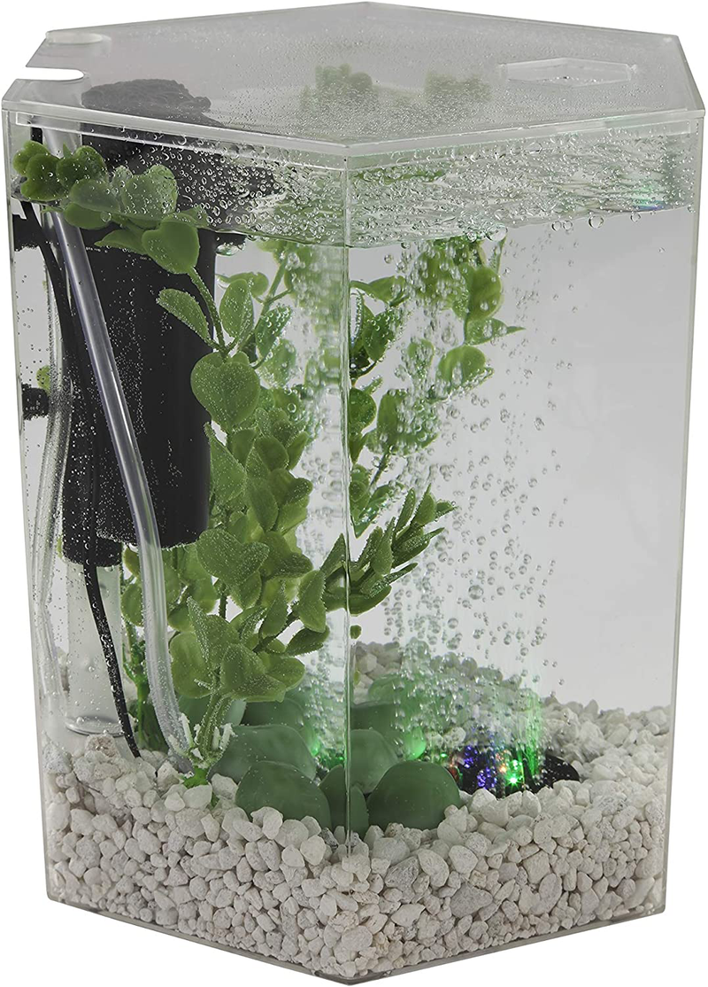 Tetra Bubbling LED Aquarium Kit 1 Gallon, Hexagon Shape, With Color-Changing Light Disc Animals & Pet Supplies > Pet Supplies > Fish Supplies > Aquariums Tetra   