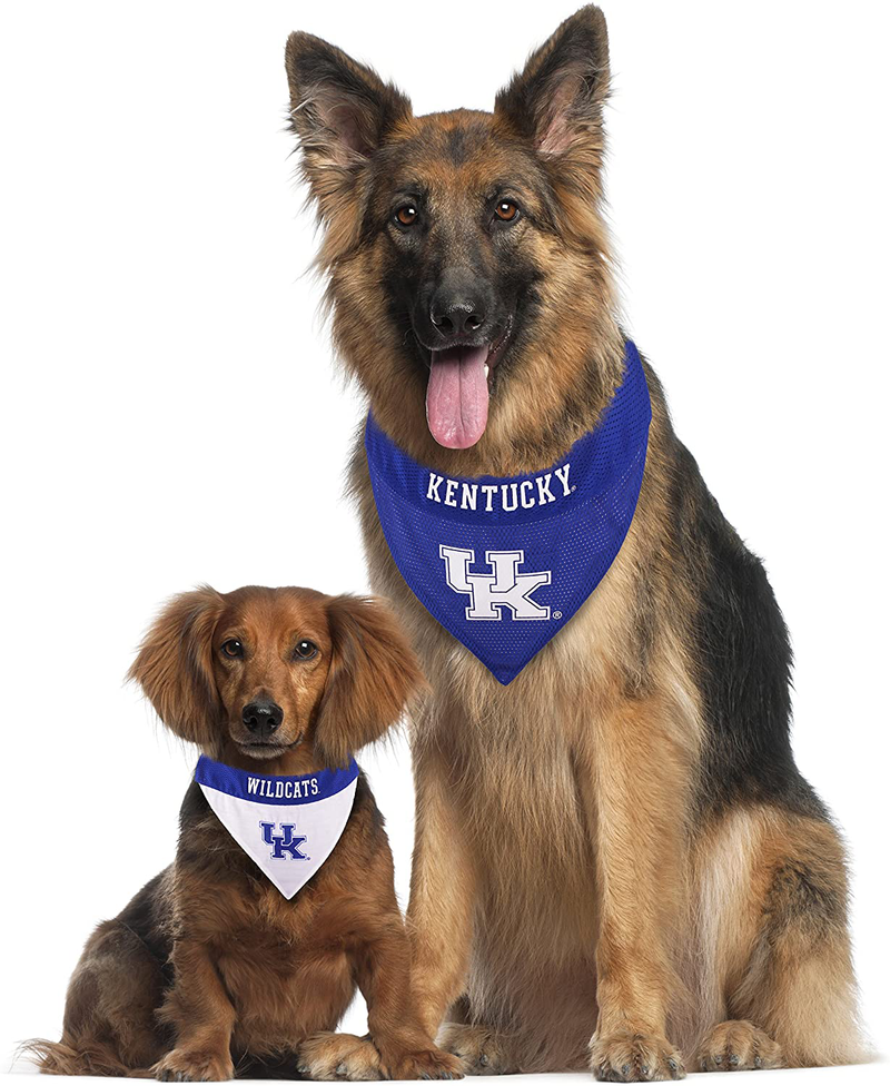 Pets First Kentucky Reversible Bandana for Dogs Animals & Pet Supplies > Pet Supplies > Cat Supplies > Cat Apparel Pets First   