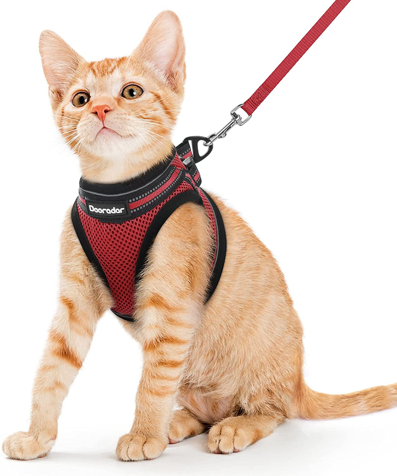 Dooradar Cat Leash and Harness Set Escape Proof Safe Cats Step-in Vest Harness for Walking Outdoor Adjustable Kitten Harness with Reflective Strip Breathable Mesh for Cat, Multiple Color Animals & Pet Supplies > Pet Supplies > Cat Supplies > Cat Apparel Dooradar Red Small (Pack of 1) 