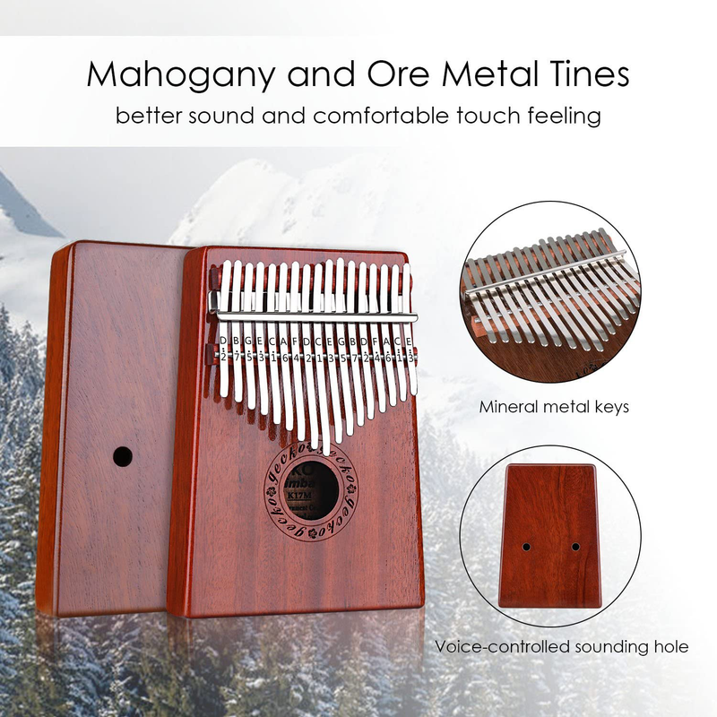 GECKO Kalimba 17 Keys Thumb Piano with Waterproof Protective Box,Tune Hammer and Study Instruction,Portable Mbira Sanza Finger Piano,Gift for Kids Adult Beginners Professional  Gecko   