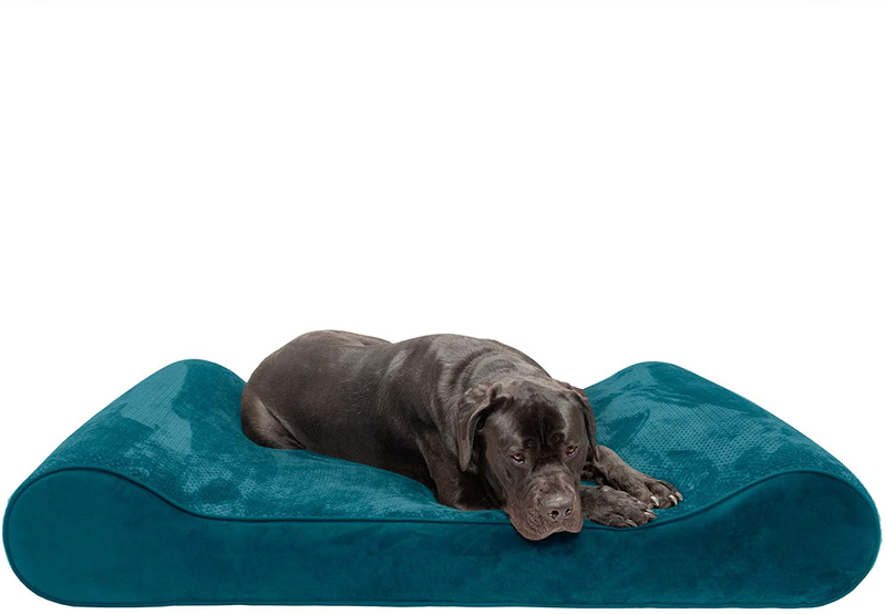 Furhaven Orthopedic, Cooling Gel, and Memory Foam Pet Beds for Small, Medium, and Large Dogs - Ergonomic Contour Luxe Lounger Dog Bed Mattress and More Animals & Pet Supplies > Pet Supplies > Dog Supplies > Dog Beds Furhaven Pet Products, Inc Minky Spruce Blue Contour Bed (Memory Foam) Giant (Pack of 1)