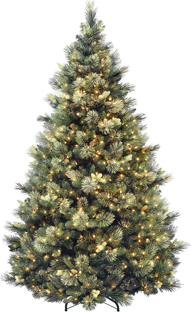 National Tree Carolina Pine Tree with Clear Lights , 7.5 Feet Home & Garden > Decor > Seasonal & Holiday Decorations > Christmas Tree Stands National Tree Company 7.5 ft  