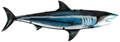 Liffy Metal Dolphin Wall Decor Outdoor Glass Art Hanging Sea Sculpture Blue Fish Decorations for Pool, Patio or Bathroom Home & Garden > Decor > Artwork > Sculptures & Statues LIFFY #Shark  