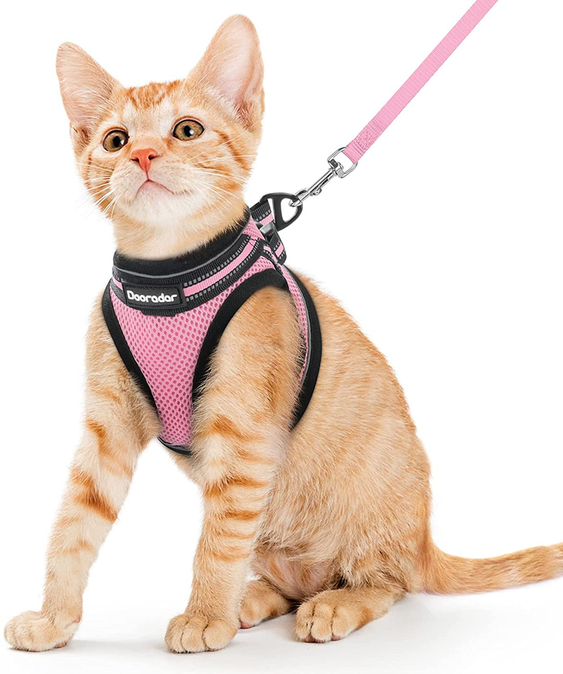 Dooradar Cat Leash and Harness Set Escape Proof Safe Cats Step-in Vest Harness for Walking Outdoor Adjustable Kitten Harness with Reflective Strip Breathable Mesh for Cat, Multiple Color Animals & Pet Supplies > Pet Supplies > Cat Supplies > Cat Apparel Dooradar Pink Medium (Pack of 1) 