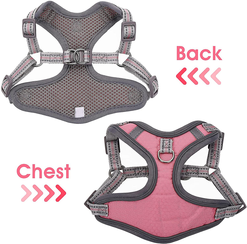 Molain Step-in Dog Harness Set with Quick Release Buckle, Reflective Adjustable Cat Puppy Vest Soft Air Mesh Harness for Indoor and Outdoor Use (Harness+Rope Leash+Collar+Waste Bags Dispenser+Bell) Animals & Pet Supplies > Pet Supplies > Cat Supplies > Cat Apparel Molain   