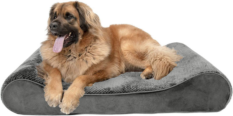 Furhaven Orthopedic, Cooling Gel, and Memory Foam Pet Beds for Small, Medium, and Large Dogs - Ergonomic Contour Luxe Lounger Dog Bed Mattress and More Animals & Pet Supplies > Pet Supplies > Dog Supplies > Dog Beds Furhaven Pet Products, Inc Minky Gray Contour Bed (Orthopedic Foam) Jumbo Plus (Pack of 1)
