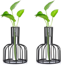 Glass Propagation Station with Metal Frame, Gold Flower Vase, Test Tube Vase for Hydroponic Plant, Small Bud Vase for Home Kitchen Office Table Top Decor Home & Garden > Decor > Vases Glasseam Black 2pcs 