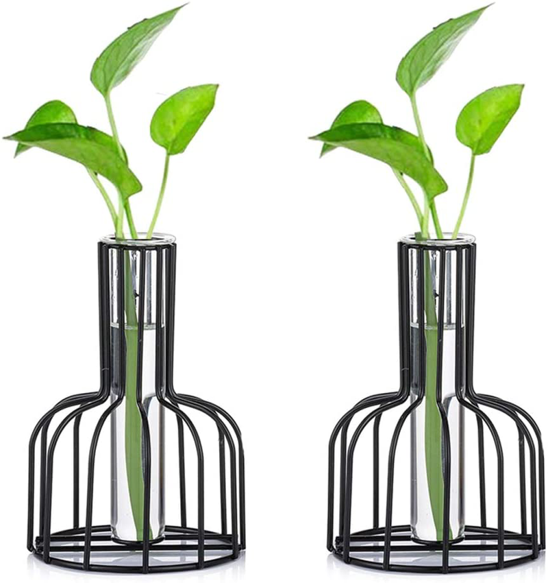 Glass Propagation Station with Metal Frame, Gold Flower Vase, Test Tube Vase for Hydroponic Plant, Small Bud Vase for Home Kitchen Office Table Top Decor Home & Garden > Decor > Vases Glasseam Black 2pcs 
