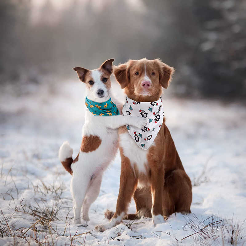 SHIBA LOGIC Christmas Dog Bandanas Pack of 2 - Reversible Dog Scarf Pet Bandana Puppy Bandana for Small Medium and Large Sized Girl and Boy Dogs - Holiday Themed Dog Apparel Accessories