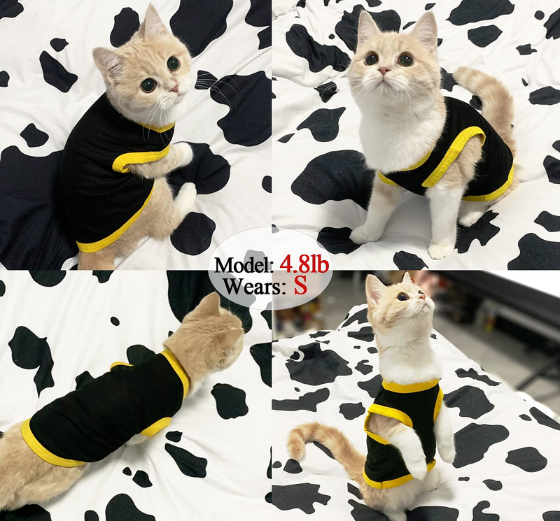 Dog T-Shirt Pet Summer Vests Clothes, Puppy Cute Costumes Shirts Soft and Breathable Clothing Doggy Fashion Printing Apparel Outfits for Small Medium Dogs Boy and Girl Animals & Pet Supplies > Pet Supplies > Cat Supplies > Cat Apparel Tealots   