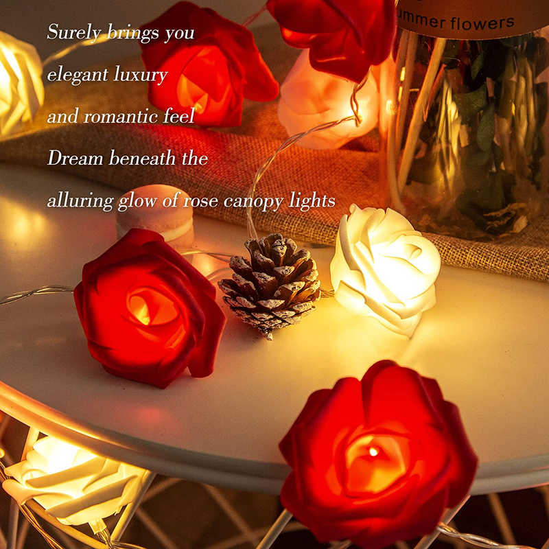 LOLSTAR Valentines Day Rose String Lights 10 Ft 20 LED Battery Operated Rose Flower String Lights for Valentine'S Day Decoration Anniversary Wedding Birthday Party Decorations Large Diameter 2.7 Inch Home & Garden > Decor > Seasonal & Holiday Decorations LOLStar   