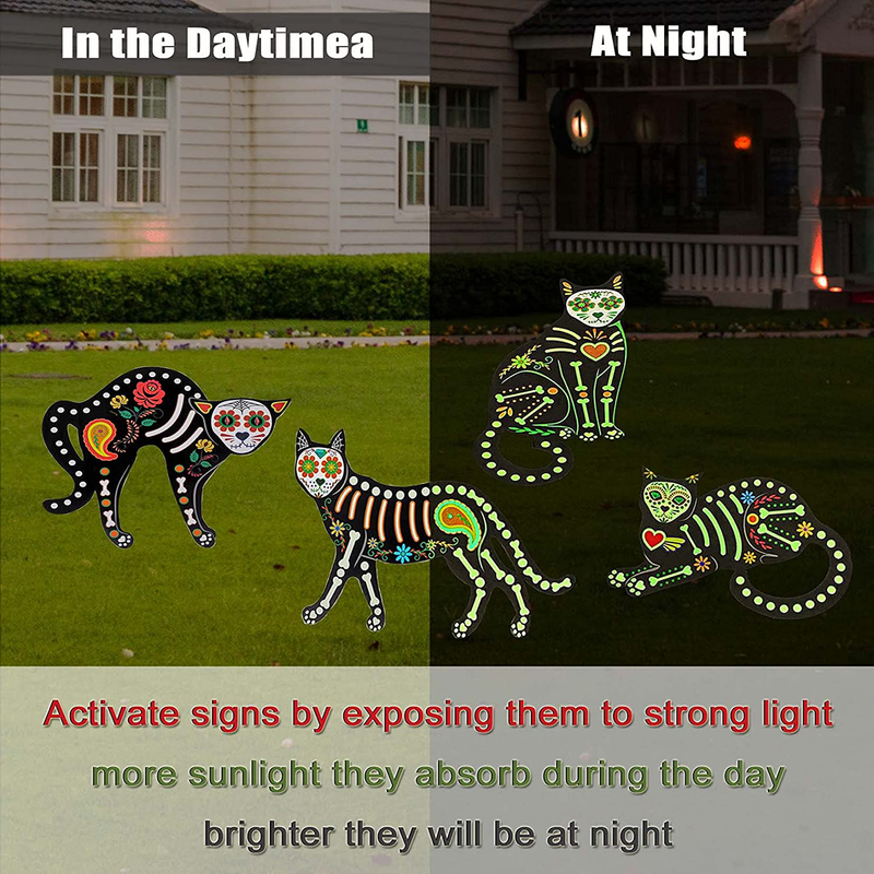 Fanboxk 4Pcs Halloween Decorations Outdoor Fluorescence Skeleton Cat,Scary Creepy Halloween Outdoor Decor Skeleton Animals- 16”x 14” Halloween Cat Silhouette Yard Signs with Stakes. Arts & Entertainment > Party & Celebration > Party Supplies Fanboxk   