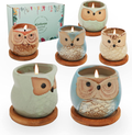 Kinforse Citronella Candles Outdoor Scented Candles Sets Gifts for Women, 6x3.5oz Novelty Owl Natural Soy Candles for Home Scented, Aromatherapy Candles Bulk for Garden, Porch, Outdoor Patio Decor Home & Garden > Decor > Home Fragrances > Candles Kinforse Colorful  
