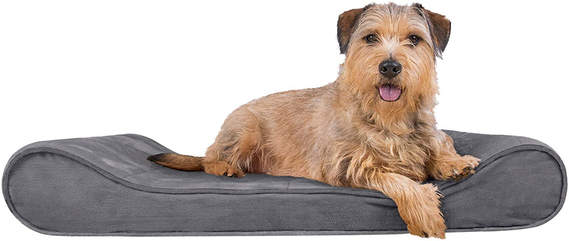 Furhaven Orthopedic, Cooling Gel, and Memory Foam Pet Beds for Small, Medium, and Large Dogs - Ergonomic Contour Luxe Lounger Dog Bed Mattress and More Animals & Pet Supplies > Pet Supplies > Dog Supplies > Dog Beds Furhaven Pet Products, Inc Microvelvet Gray Contour Bed (Orthopedic Foam) Large (Pack of 1)