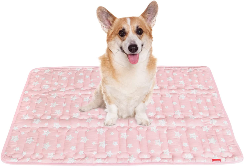 Dog Crate Mat, Soft Dog Bed Mat with Cute Prints, Personalized Dog Crate Pad, Anti-Slip Bottom, Machine Washable Kennel Pad  Moonsea Pink Large 36"X23" 