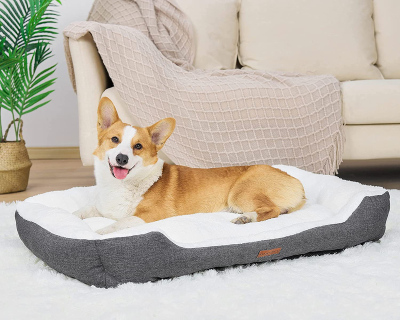 JOHNPEY Dog Beds for Medium Dogs up to 50 Lbs, Comfortable and Fluffy Dog Bed, Durable and Machine-Washable, Dark Gray