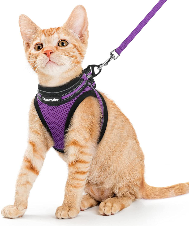 Dooradar Cat Leash and Harness Set Escape Proof Safe Cats Step-in Vest Harness for Walking Outdoor Adjustable Kitten Harness with Reflective Strip Breathable Mesh for Cat, Multiple Color Animals & Pet Supplies > Pet Supplies > Cat Supplies > Cat Apparel Dooradar Purple Medium (Pack of 1) 