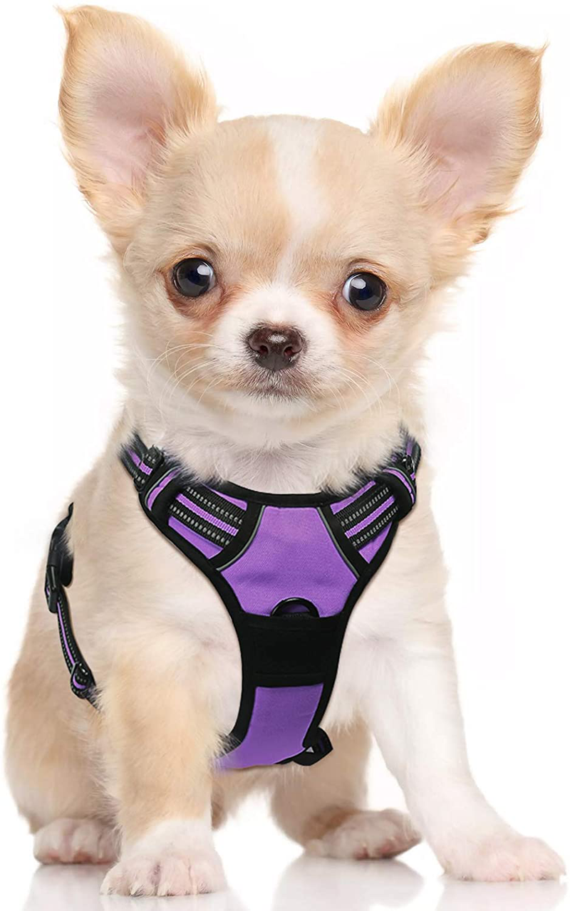rabbitgoo Dog Harness, No-Pull Pet Harness with 2 Leash Clips, Adjustable Soft Padded Dog Vest, Reflective No-Choke Pet Oxford Vest with Easy Control Handle for Large Dogs, Black, XL  rabbitgoo Modern Violet Small 