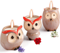 Scented Candles Sets Gifts for Women - 3 Pack Novelty Owl Natural Soy Candles for Home Scented, Aromatherapy Candles Bulk for Garden, Porch, Outdoor Patio Decor (English Pear & Fressia, Jasmine, Fig) Home & Garden > Decor > Home Fragrances > Candles Hsuner Gardenia,lavender,rose  
